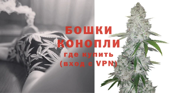 дживик Балахна
