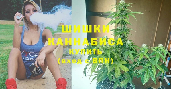 дживик Балахна