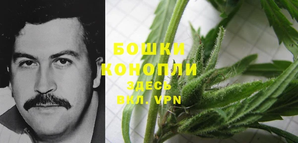 дживик Балахна