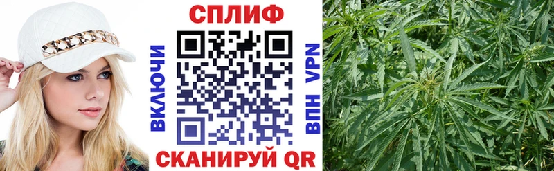 Канабис ГИДРОПОН  Козельск 